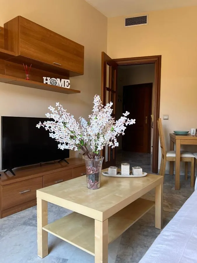Premium Center Alameda Apartment Malaga